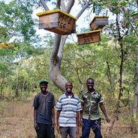 Forest Honey Honey It's Wild!
